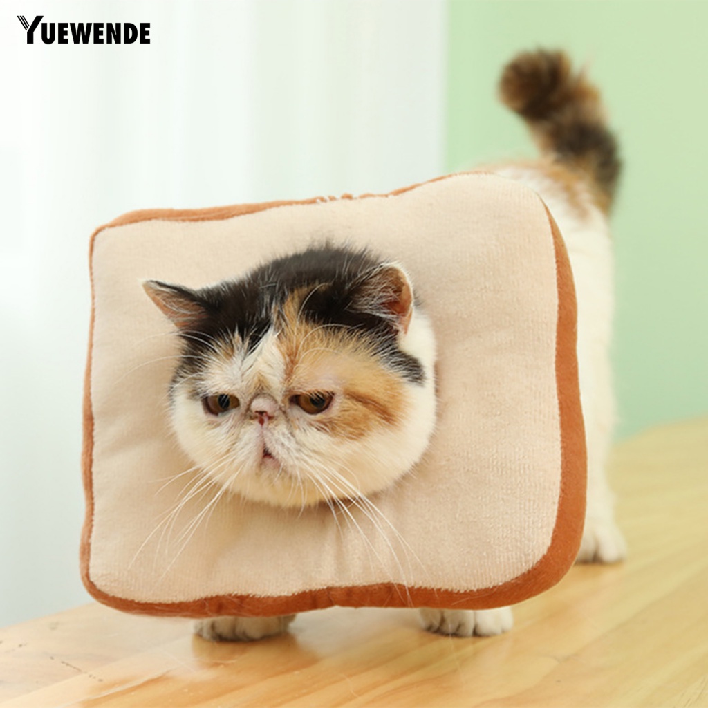 Vòng Cổ Hình Nón Bảo Vệ Cho Thú Cưng Khi Tắm