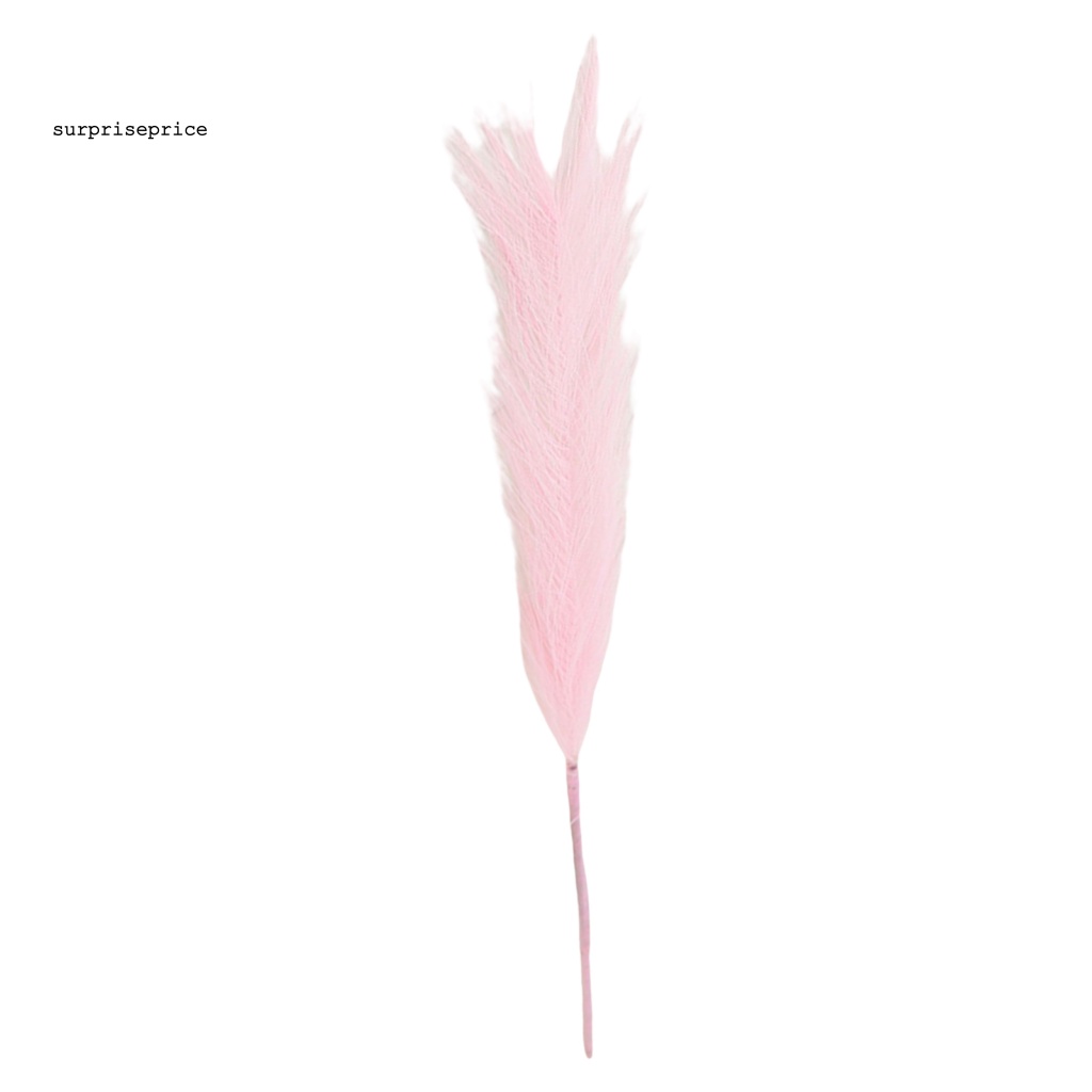 Cỏ Pampas Giả Nhiều Màu Dùng Trang Trí Tiệc Cưới / SPA