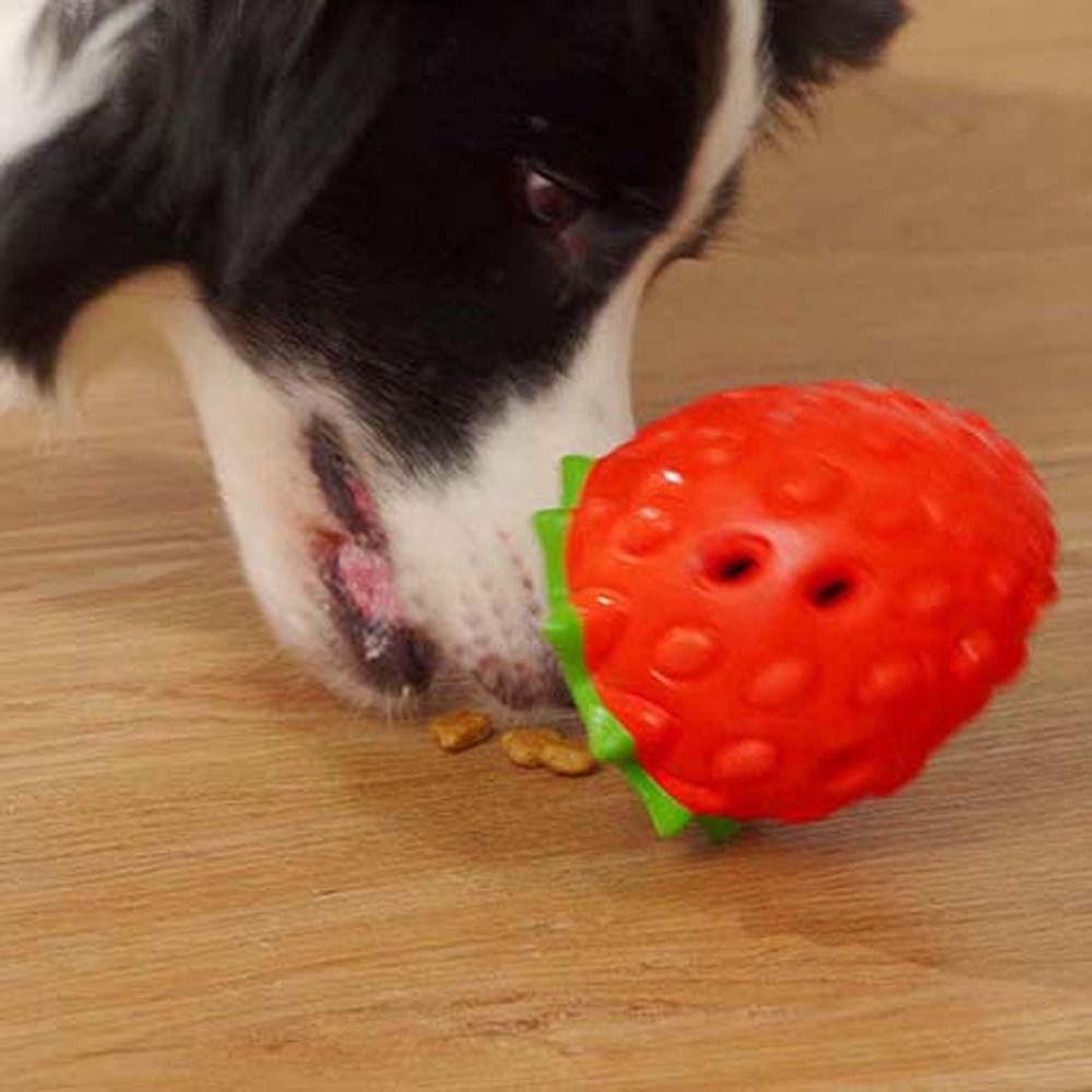 Hộp Đồ Chơi Bằng Cao Su Ẩn Răng Dành Cho Thú Cưng