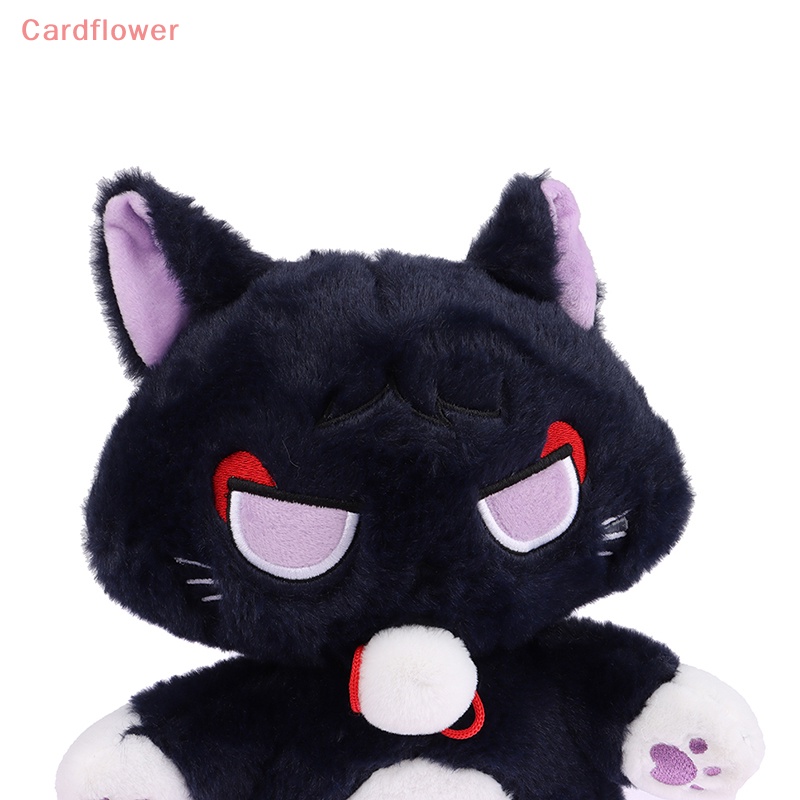 (MớI) Đồ Chơi CầM Tay Cho Thú Cưng 25cm