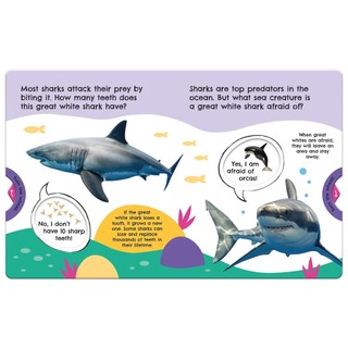 First Facts Sharks (Turn-the-Wheel Books)
