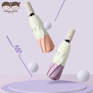 Dù Gấp Tự Động Nhỏ Xinh Phong Cách Hàn Quốc