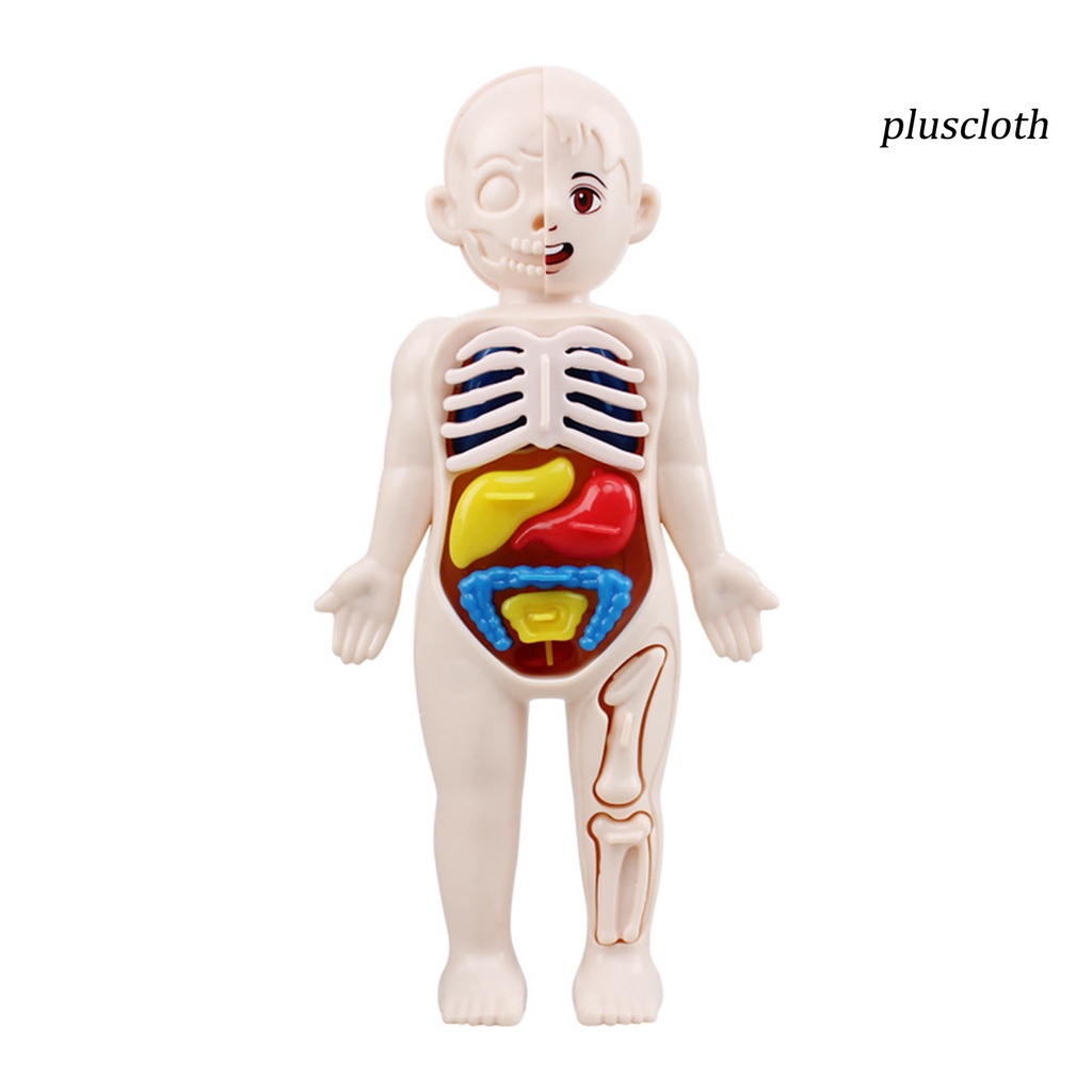 1 Bộ Đồ Chơi Mô Hình Cơ Thể Người Màu Sắc Tươi Sáng Thú Vị Giáo Dục Sớm Cho Bé