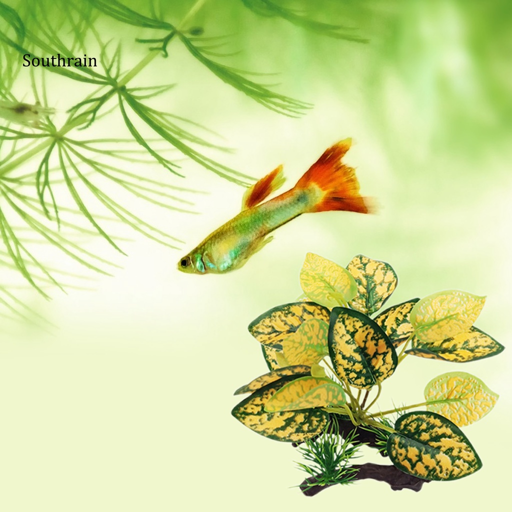 Cỏ NhựA NhiềU KiểU DáNg An ToàN Trang Trí Bể Cá