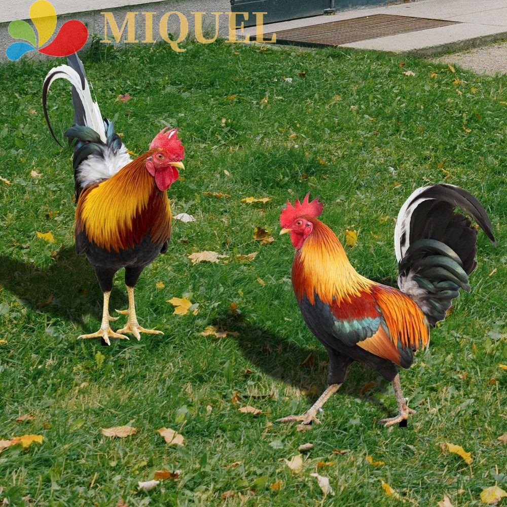 Đồ Chơi Tượng Gà Hai Mặt Acrylic Dễ Thương Thú Vị Cho Trẻ Em