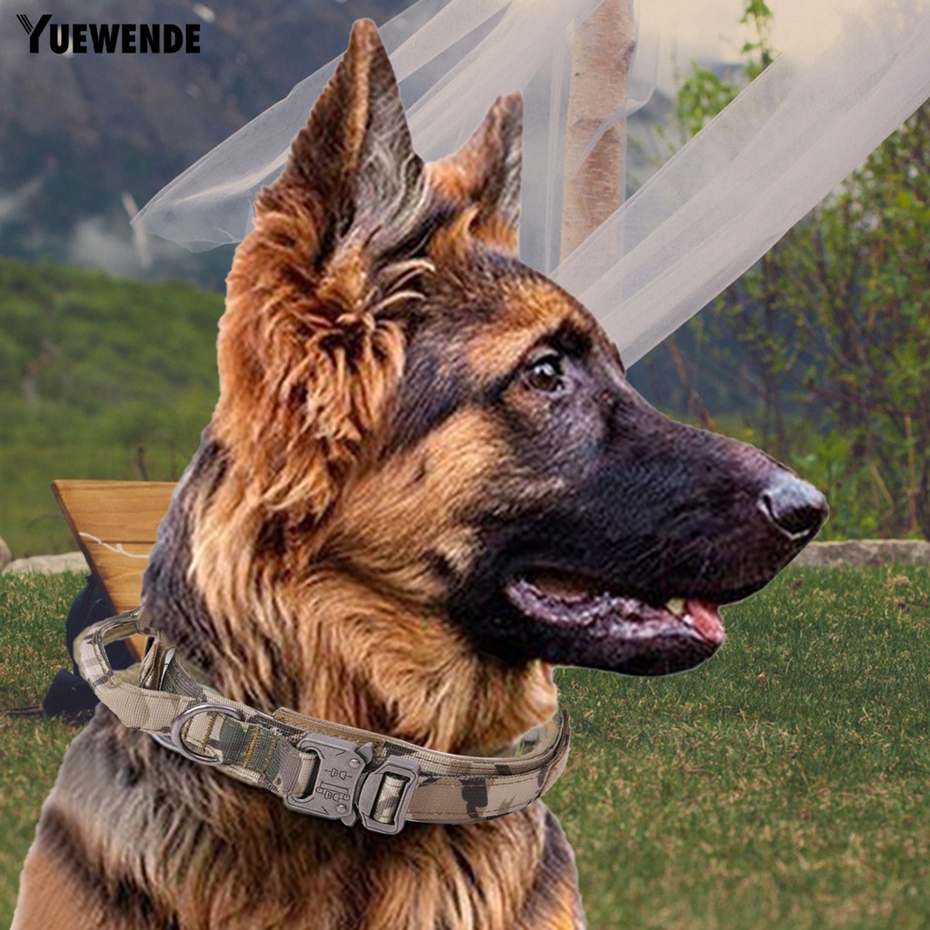 Vòng Cổ Nylon Thoáng Khí An Toàn Cho Thú Cưng YQ.E