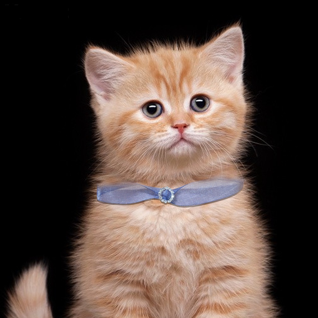 Yq.e Vòng Cổ Ruy Băng Viền Ren Đính Đá Có Thể Điều Chỉnh Thời Trang An Toàn Dành Cho Thú Cưng Mặc Hàng Ngày