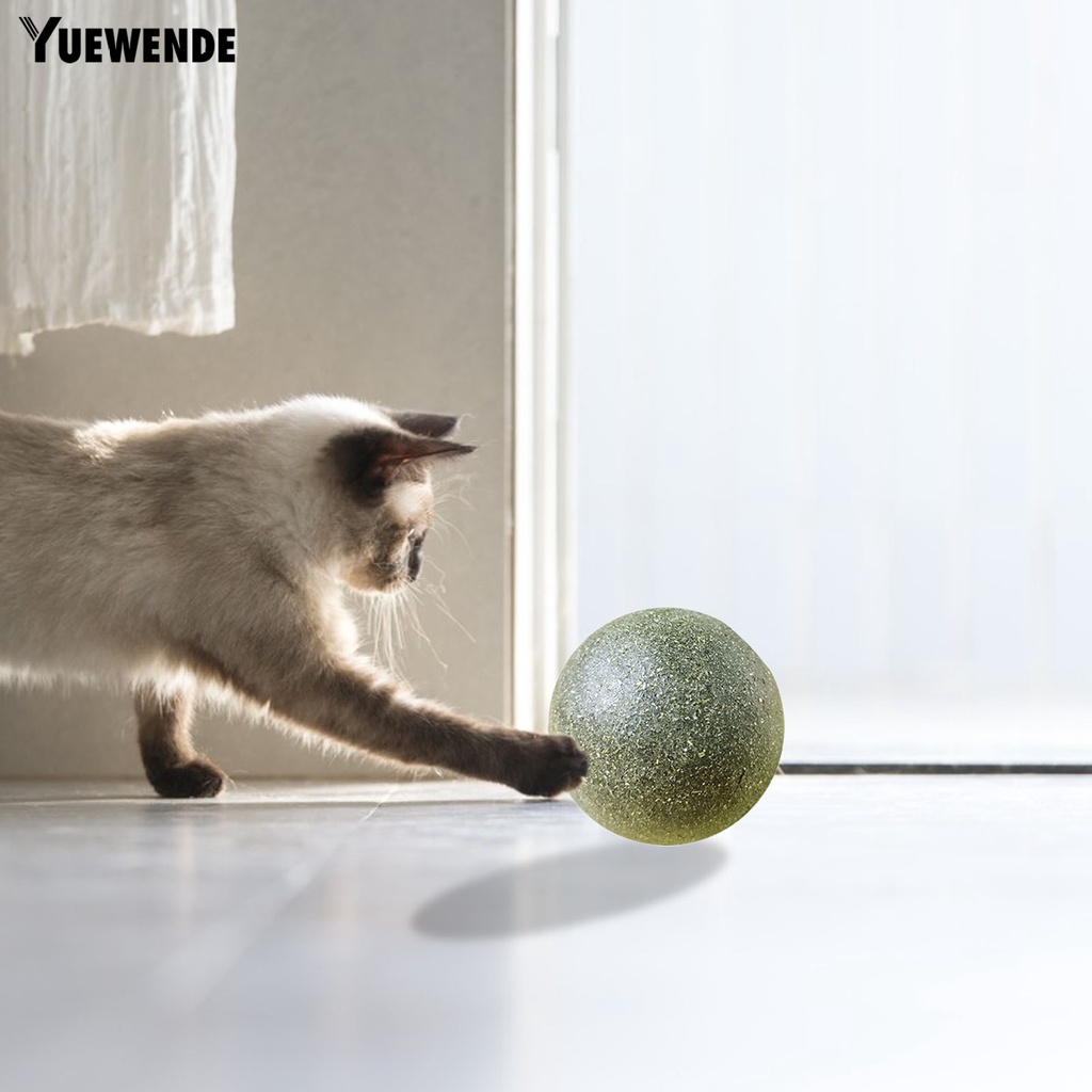 Yq.e Bóng Đồ Chơi Chất Liệu Tự Nhiên Bề Mặt Mịn Cỡ Lớn Làm Sạch Răng Cho Mèo Cưng