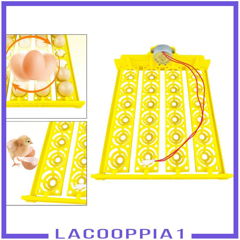 Máy Ấp Trứng Gà 24 Ngăn Tự Động Lacooppia1