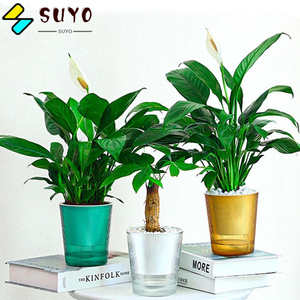 SUYO Chậu Trồng Cây Thủy Canh Tự Động Trong Suốt Hình Tròn Kèm Dây Cotton Thấm Hút Nước