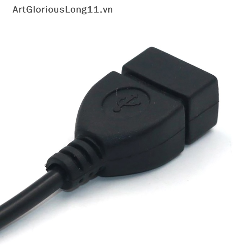 Dây Cáp Chuyển Đổi Đầu Cắm 3.5Mm AUX / MP3 Sang Cổng USB 2.0 Cho Xe Hơi