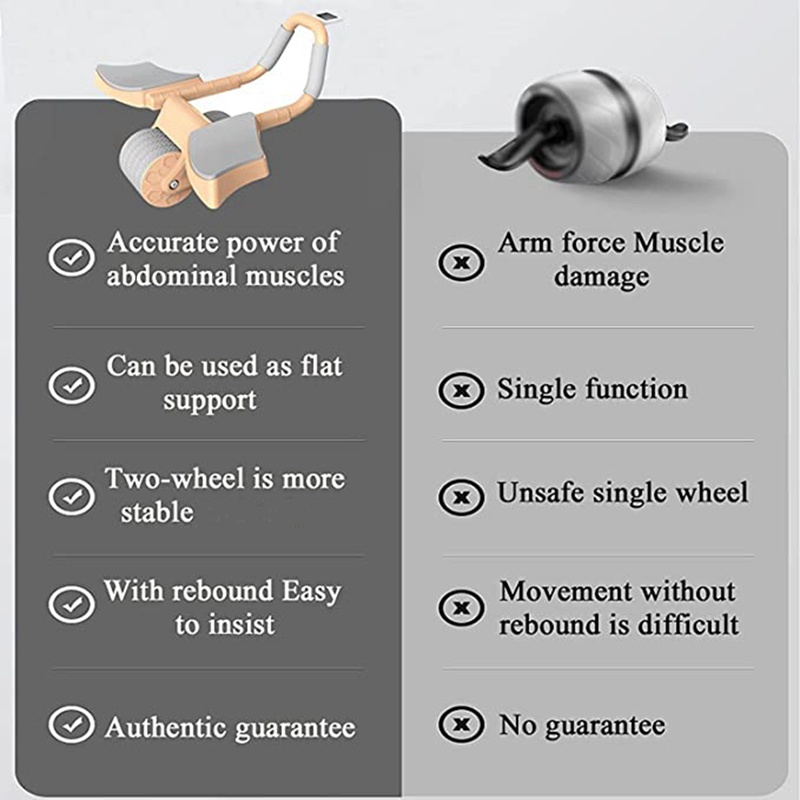 Bánh Xe Lăn Bằng Abs Chuyên Dụng Cho Tập Thể Thao