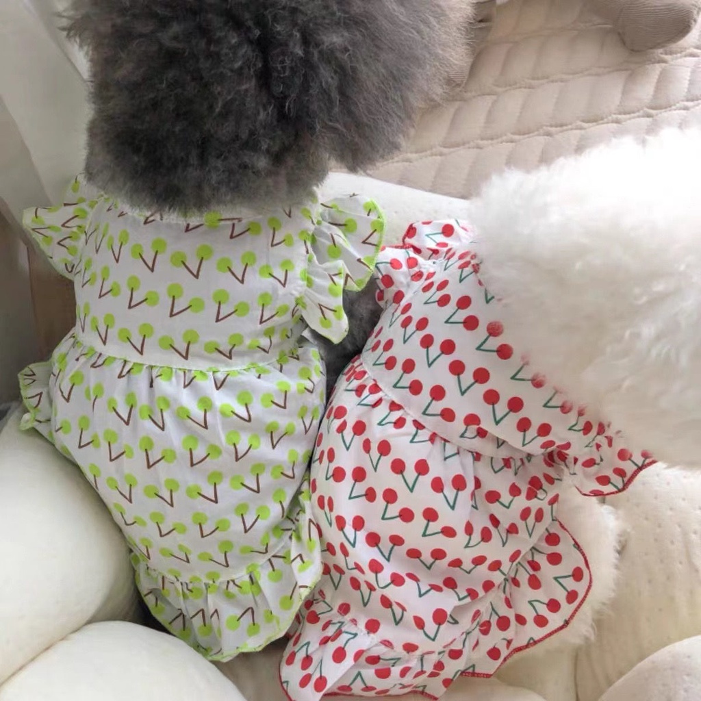 Áo Mặc Dưới Mùa Hè Thoáng Khí Chống Rơi Dành Cho Cún Cưng Teddy Bichon Frise