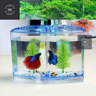 Bể nhựa nuôi cá betta mini 2 in 1, hồ cá để bàn size 18x14x10 cm - betta box - nhhân aqua - giao hàng siêu nhanh.