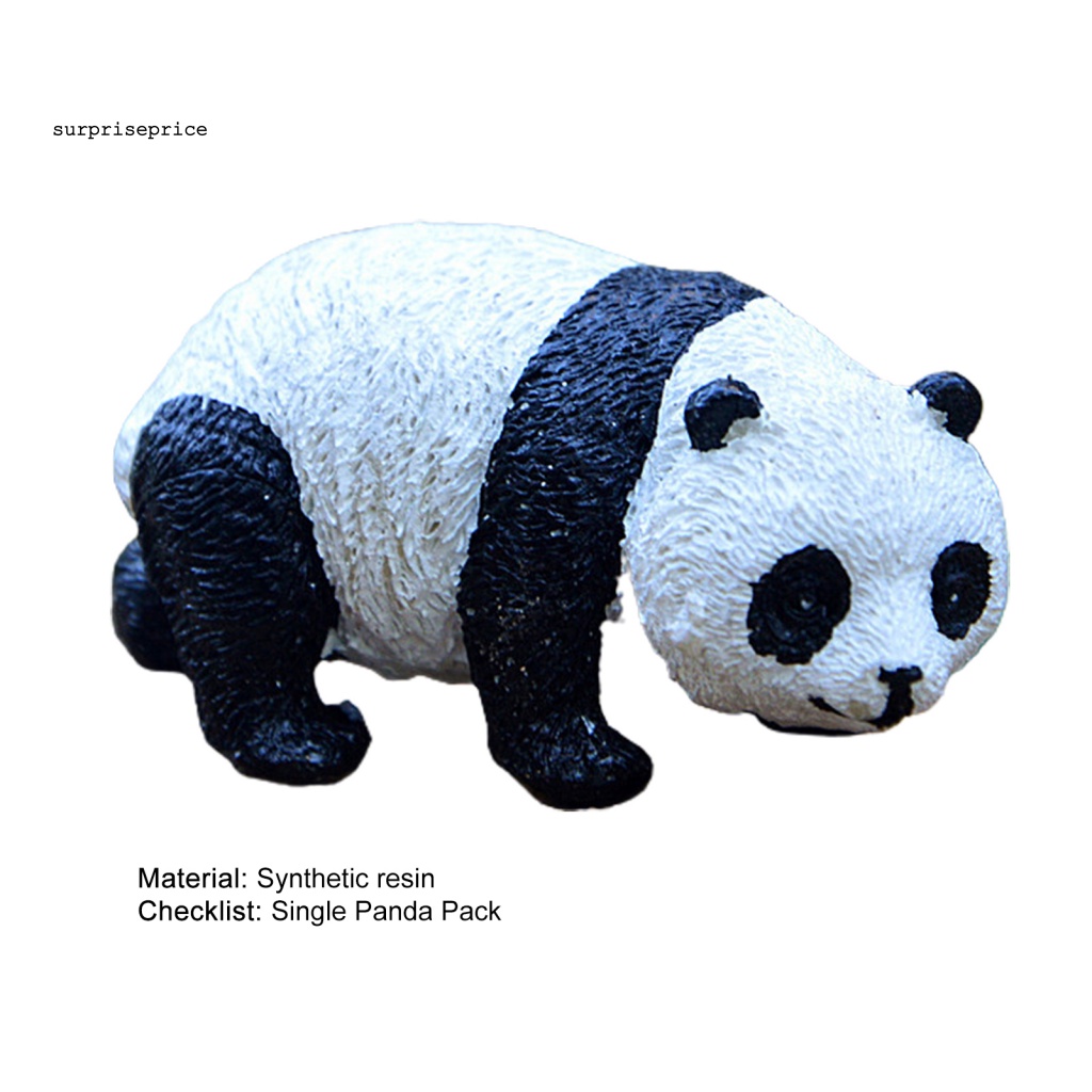 Spa Tượng Gấu Trúc Sống Động Như Thật Quyến Rũ Chi Tiết Thật Chính Xác Cho Sân Vườn