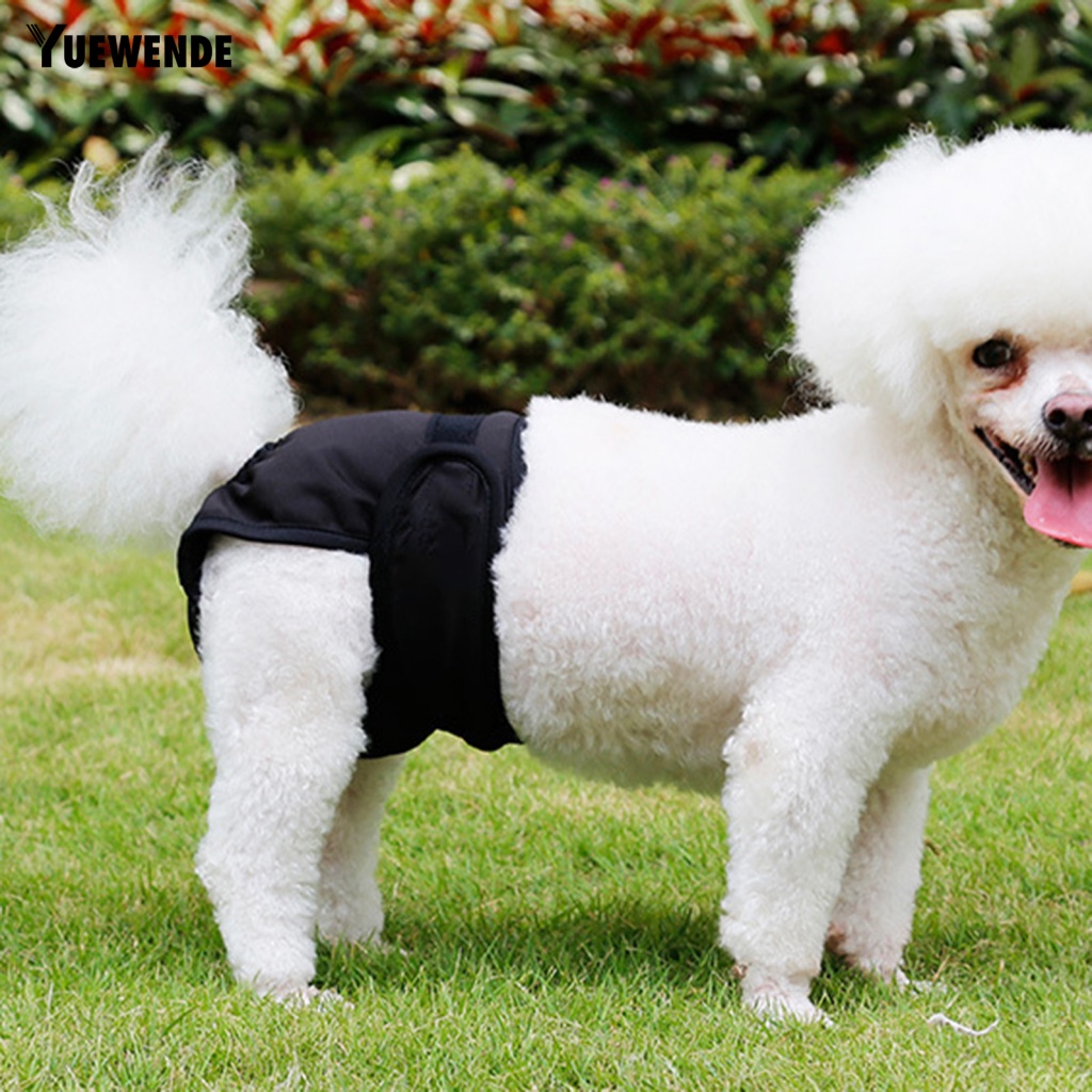 Tã Quần Thoáng Khí An Toàn Có Thể Giặt Cho Thú Cưng