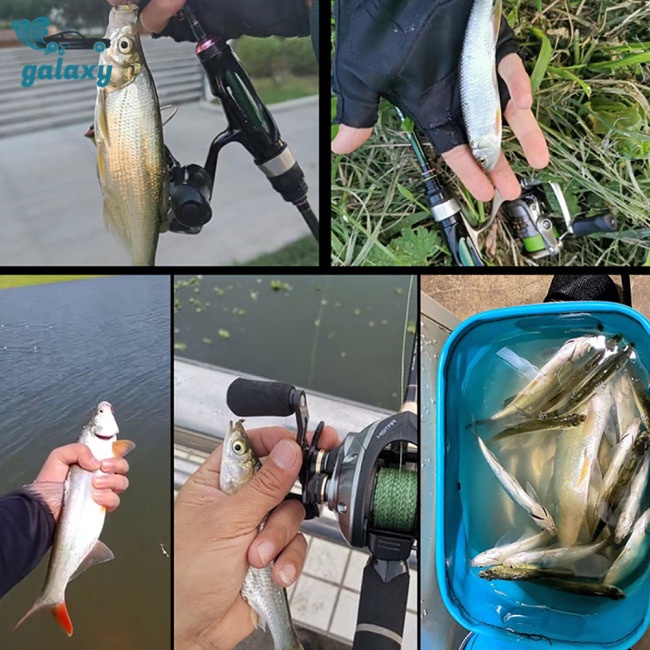 Galaxy Set 10 Mồi Giả Câu Cá Hình Côn Trùng