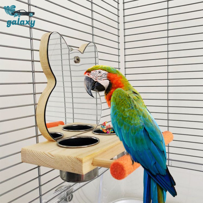 Galaxy Bộ Đồ Chơi Tương Tác Vui Nhộn Cho Vẹt