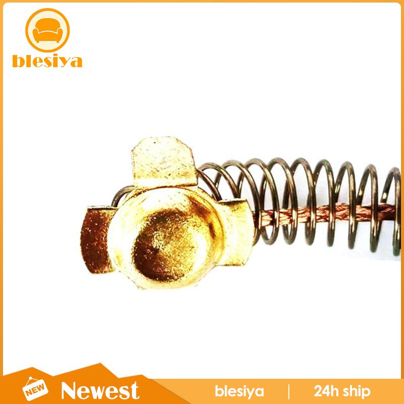 1 Cặp Bàn Chải Carbon Đánh Bóng Thay Thế Cho Dwp849 Dwp849x