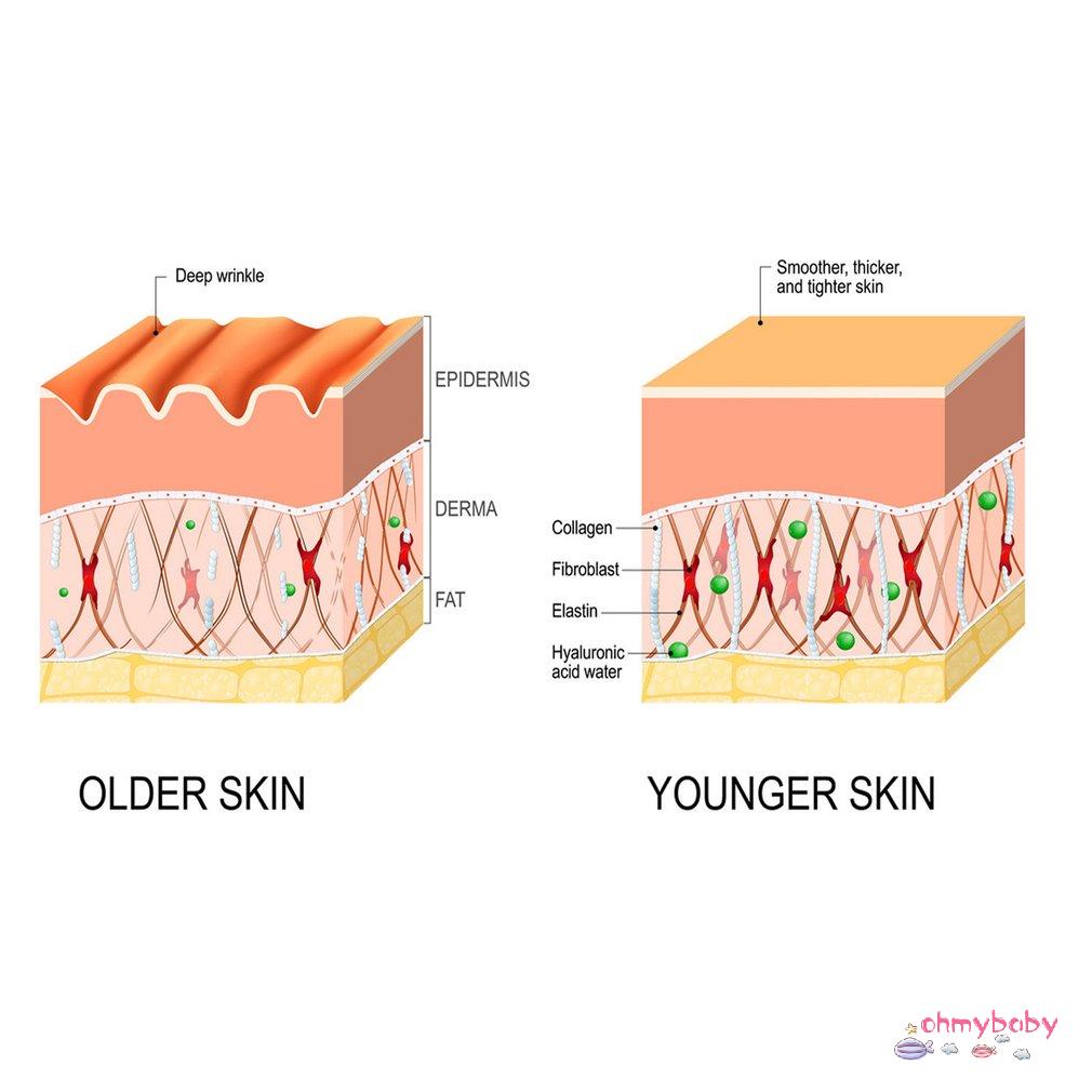 [OMB] 30Ml Wrinkle Hydration Thu nhỏ lỗ chân lông Sửa chữa dưỡng ẩm Chăm sóc da săn chắc Nâng nếp nhăn Tinh chất làm [Z/11]