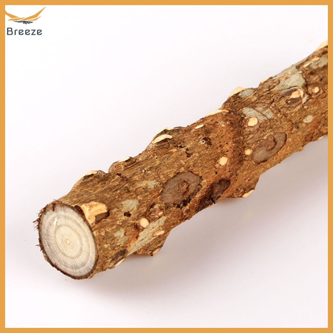 Đồ Chơi Cầu Thang Leo Giảm Căng Thẳng Dành Cho Chim Vẹt