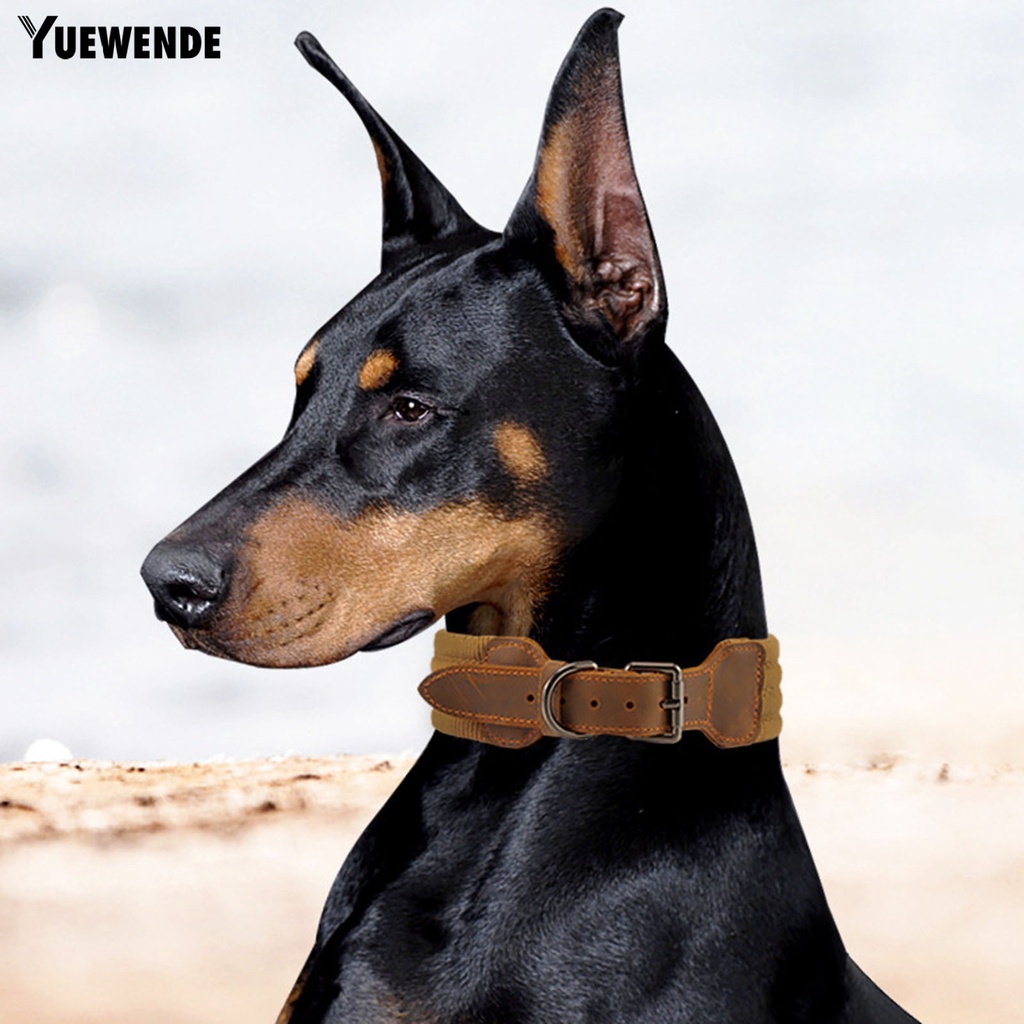 Vòng Cổ Giả Da Thoáng Khí Cho Thú Cưng