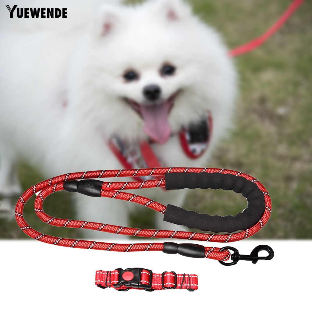 Bộ 2 Dây Dắt Thú Cưng Đi Dạo Chống Văng Có Thể Điều Chỉnh