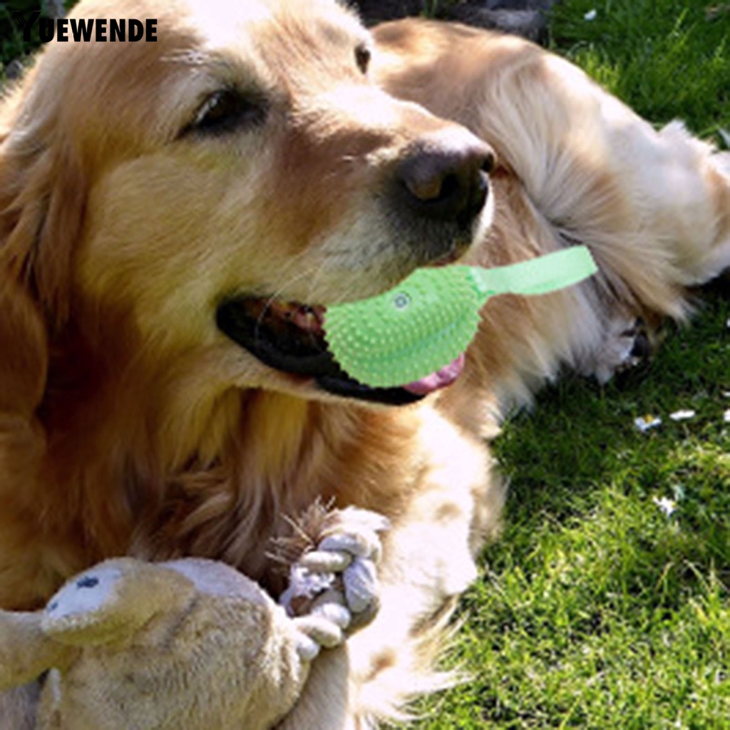 Đồ Chơi Nhai Gặm Hình Trái Cây Trọng Lượng Nhẹ Có Âm Thanh Vui Nhộn Cho Thú Cưng