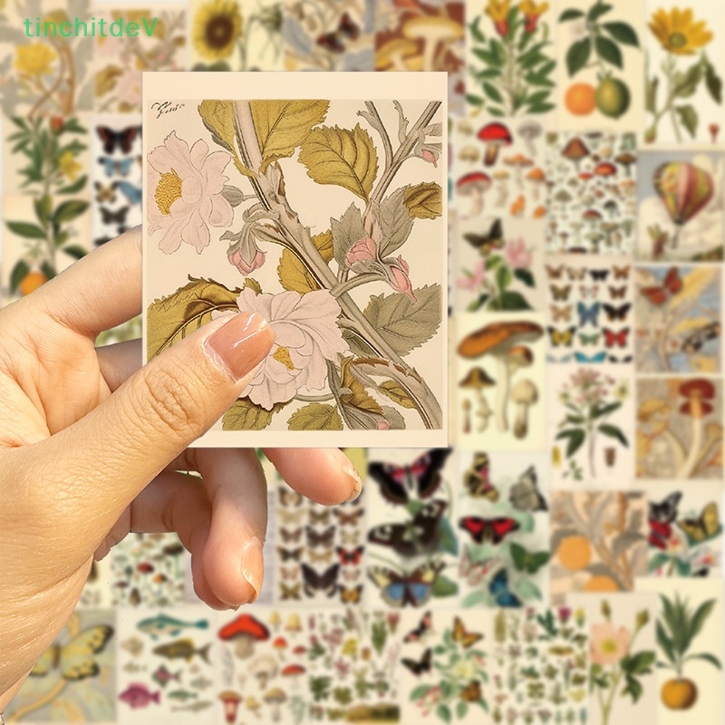 [TinchitdeV] 50 Miếng Dán Hình Trái Cây Hoạt Hình Graffiti Đơn Giản Phong Cách Retro Dành Cho Laptop [Mới]