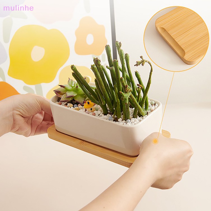 Chậu Hoa Sứ Trắng Hình Tròn / Chữ Nhật Thiết Kế Đơn Giản Tiện Dụng