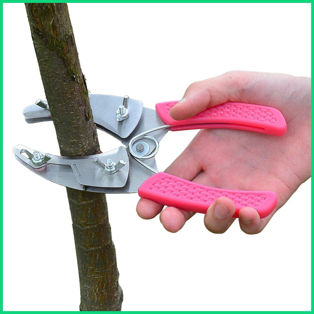 Dụng Cụ Cắt Tỉa Cây Cảnh Chuyên Dụng