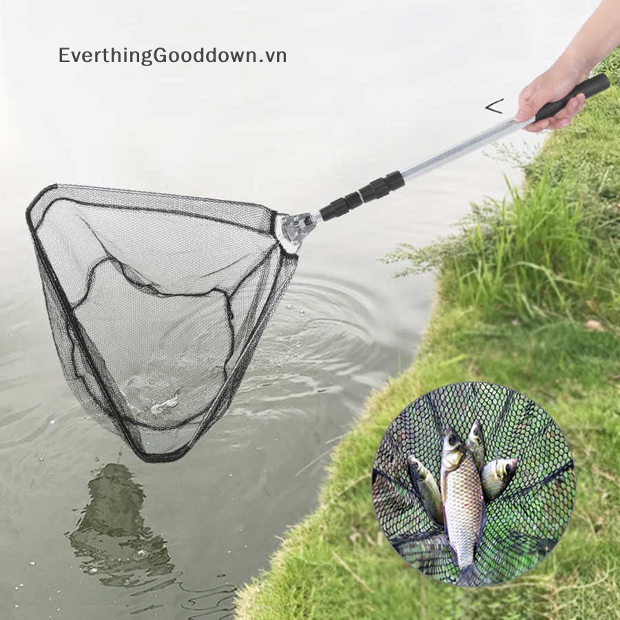Everthinggooddown Lưới Bắt Cá Bằng Hợp Kim Nhôm Có Thể Gấp Gọn 150CM vn