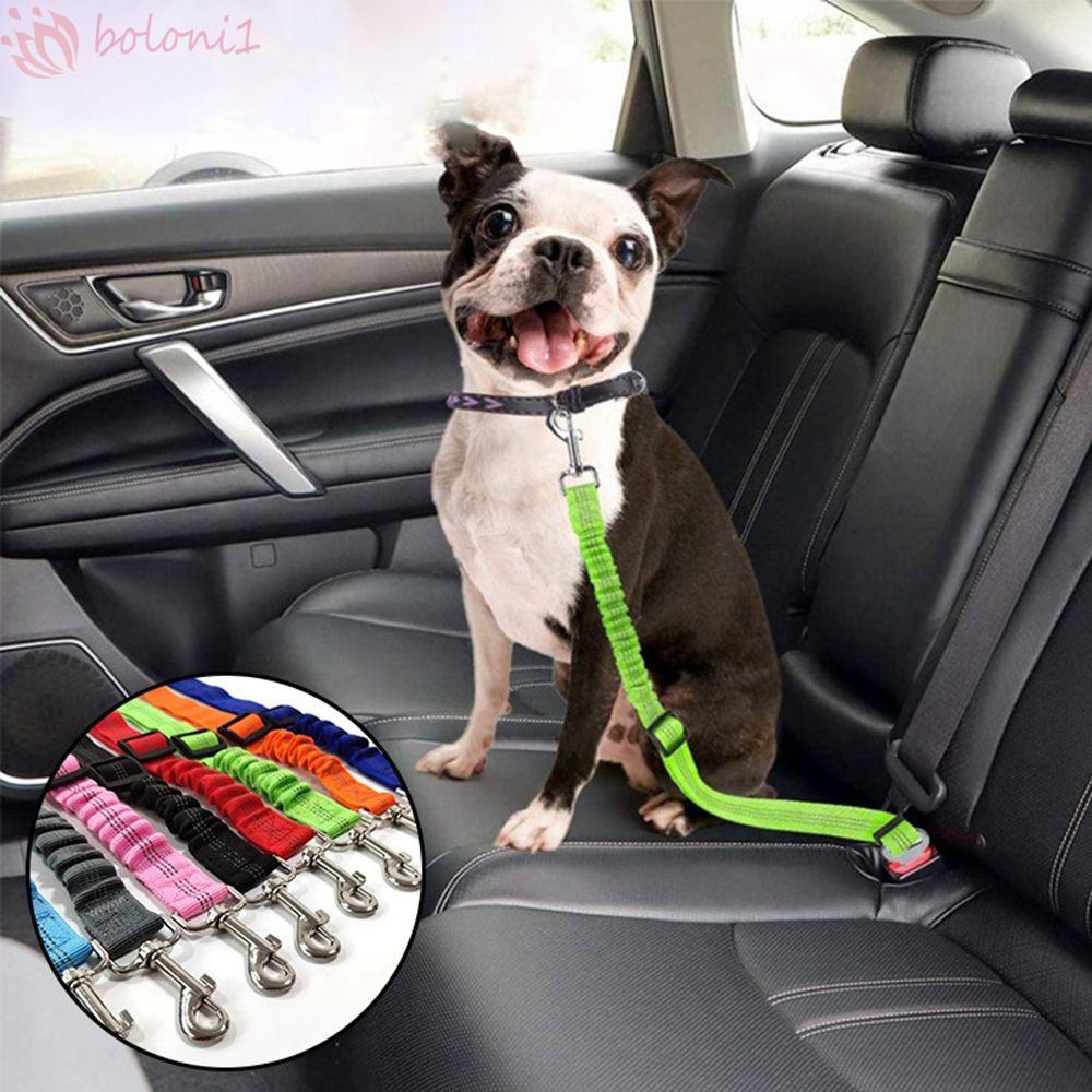 [COD] Dây ThắT An ToàN Trên Xe Cho Thú Cưng