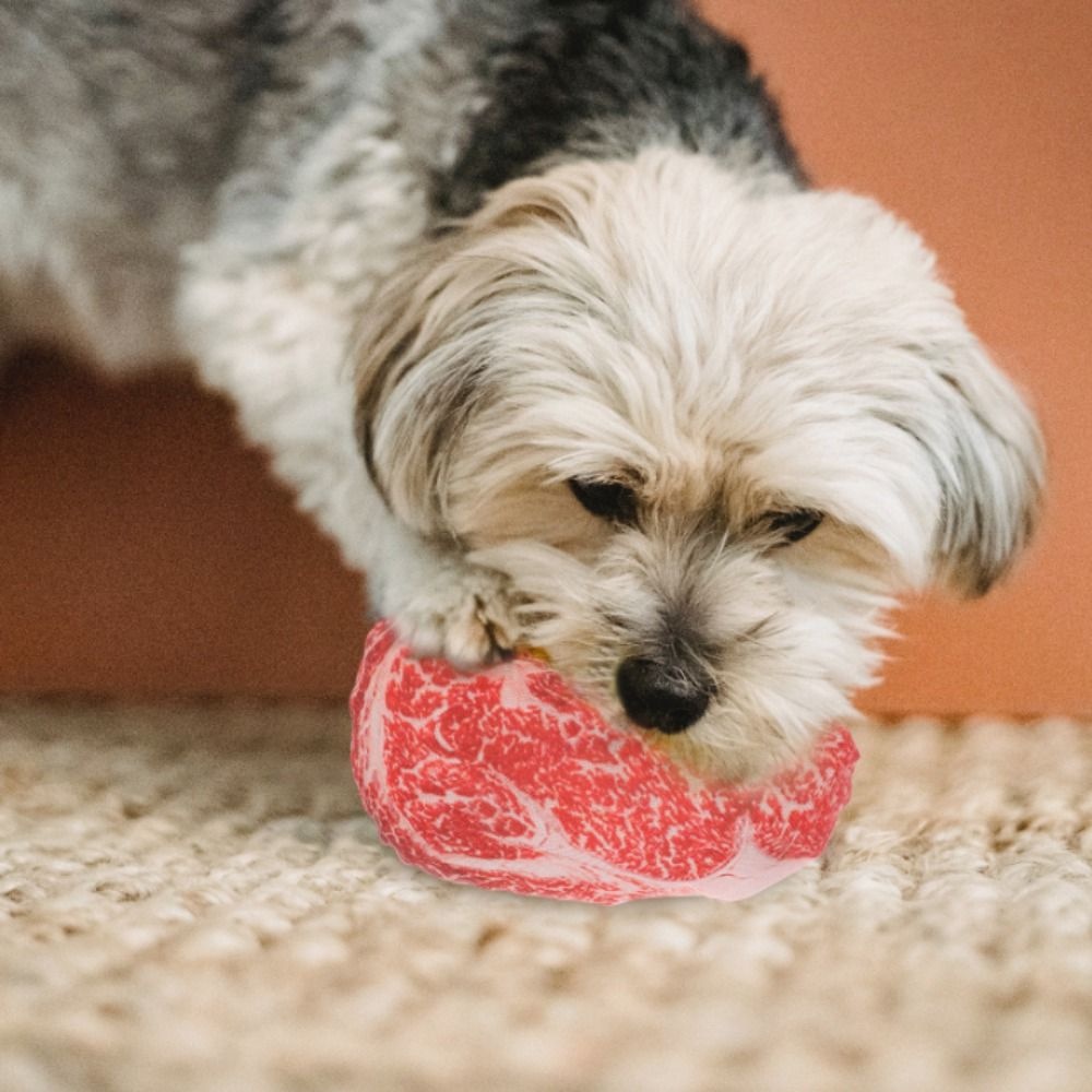 GIOVANNI Steak Đồ Chơi Mô Phỏng Bằng Cotton Oxford Chống Cắn Làm Sạch Răng Cho Thú Cưng