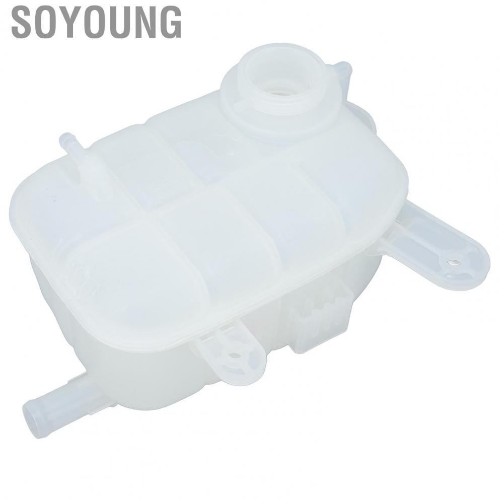 Soyoung Coolant Radiator Expansion Tank Abrasion Resistant High Temp OEM Design ABS Plastic Leak Proof 95380033 for Trax