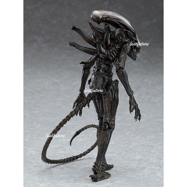 Người Ngoài Hành Tinh NECA NECA Alien Vs. Mô Hình Nhân Vật Predator Figma SP-108 Chân Thật