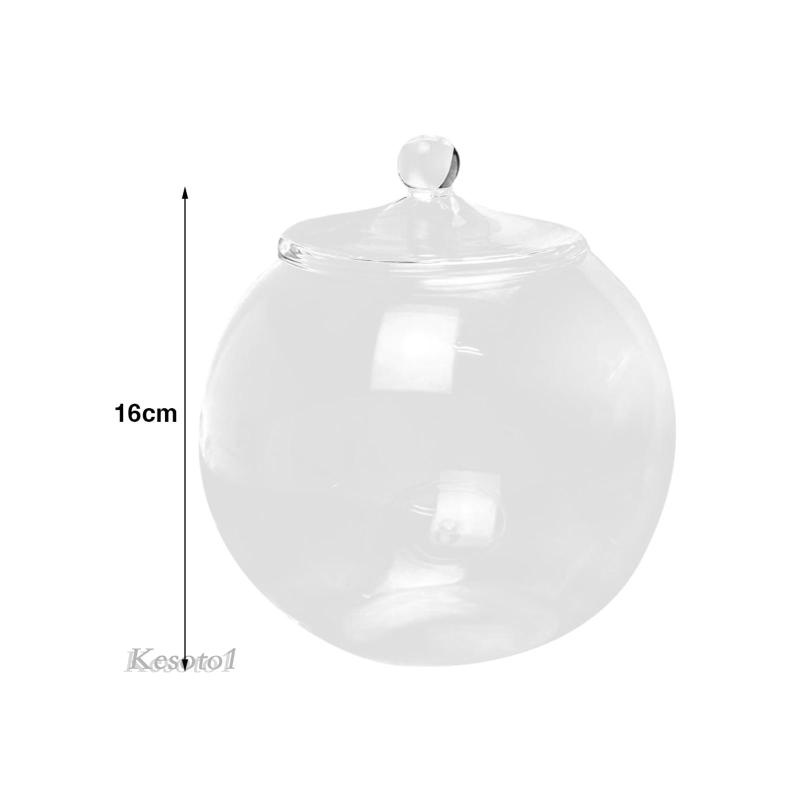 Thủy tinh terrarium centerpiece hộp đựng cây thủy tinh tự làm cho phòng ngủ nuts