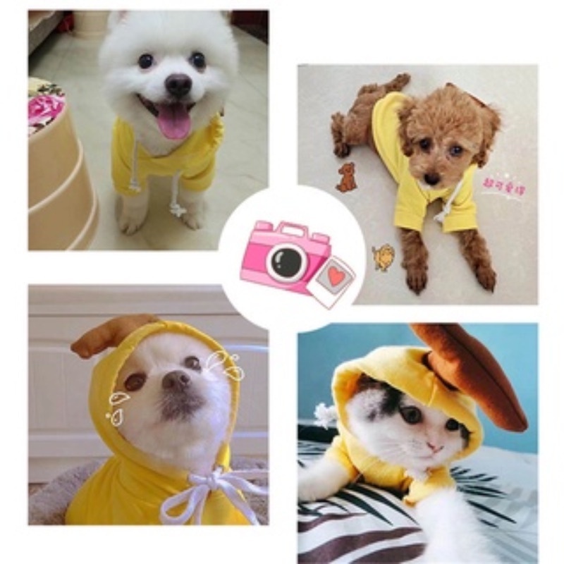 Hoodie cho chó / mèo / mèo con / quần áo mùa đông / quần áo cho chó