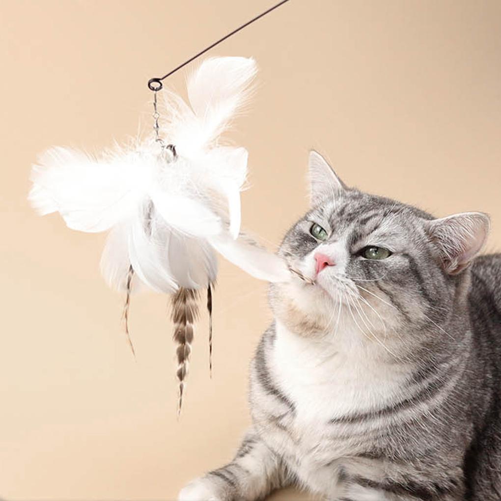 Đồ Chơi Đầu Lông Vũ Bằng Dây Thép PVC Thay Thế Cầm Tay Cho Phòng Khách / Thú Cưng