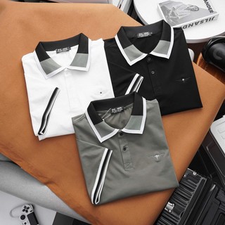 Áo thun polo vải cotton 100% phối cổ đẹp tới 140kg