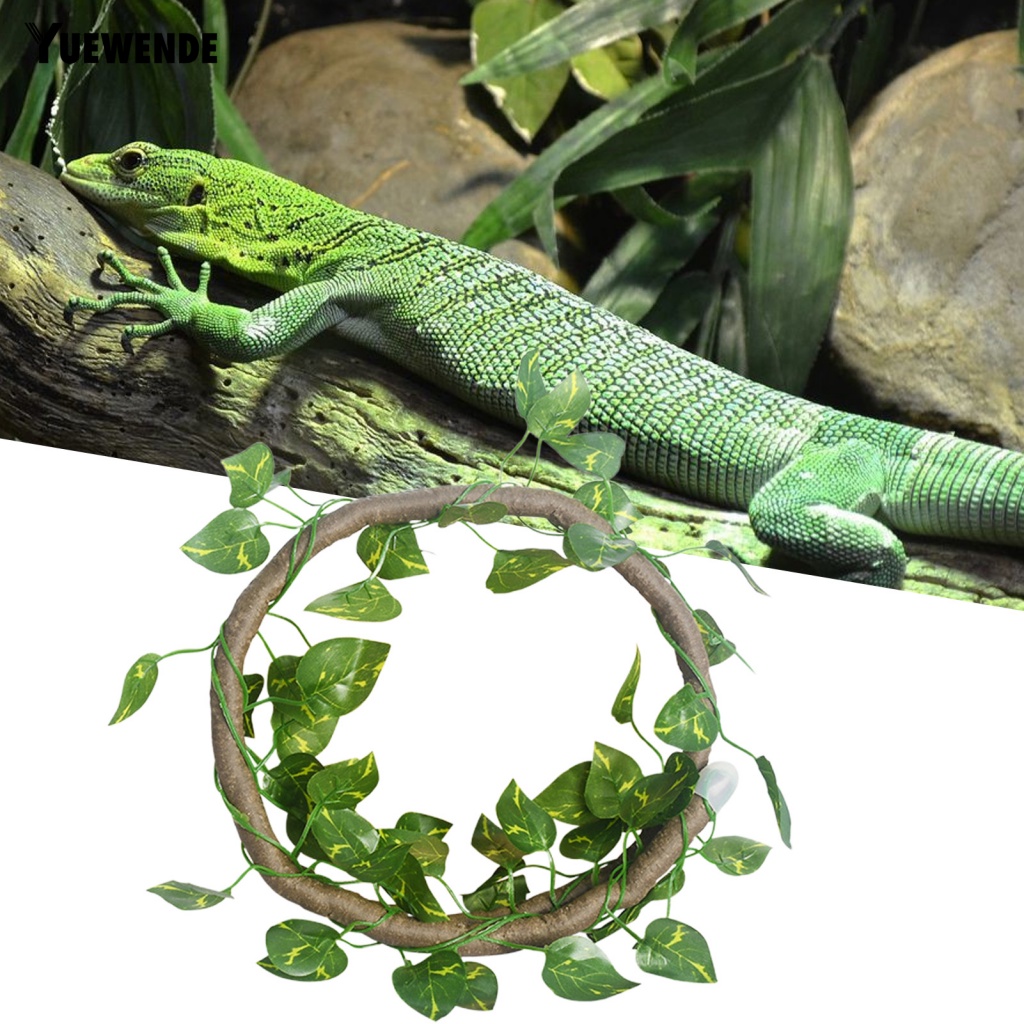 Yue.z 1 Set Đồ Chơi Thằn Lằn Leo Trèo Kết Cấu Trong Suốt Dễ Lắp Đặt Cho Bò Sát