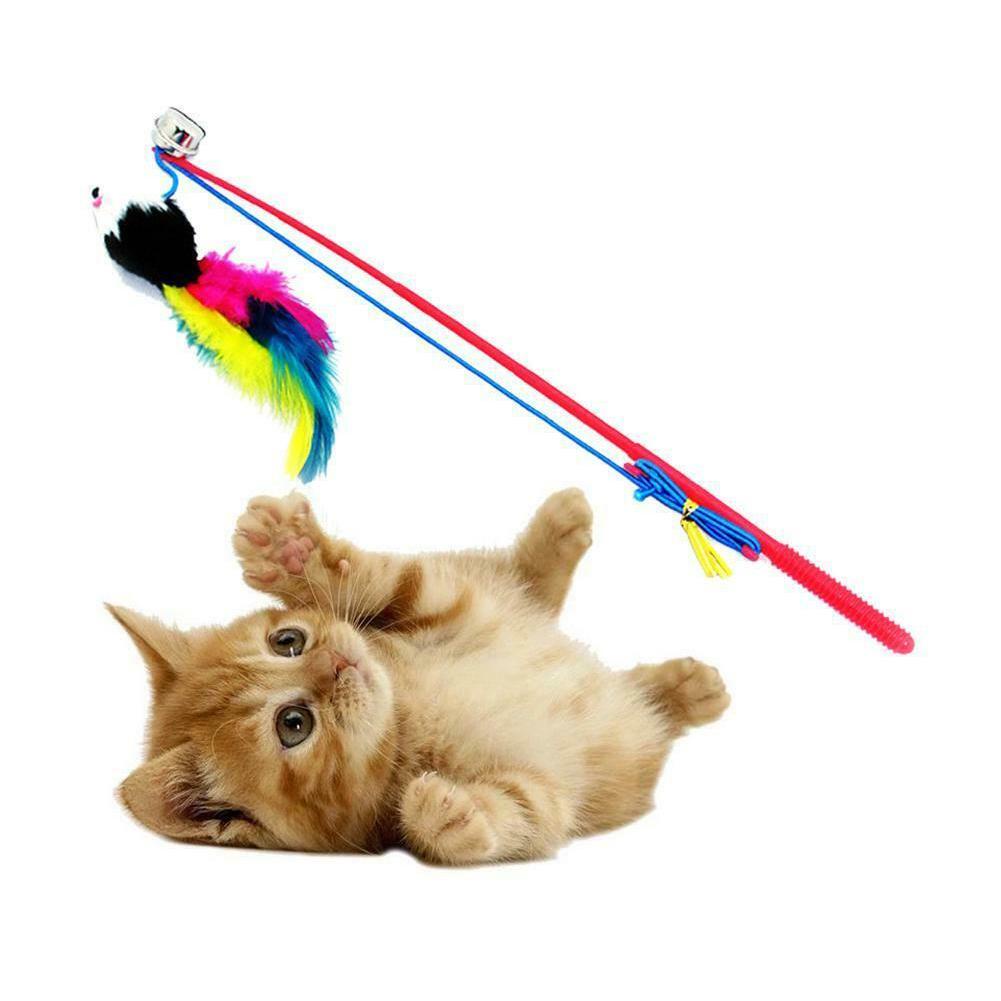 Đồ Chơi Cần Câu Co Giãn Nhiều Màu Sắc B2J1 Dành Cho Mèo Cưng