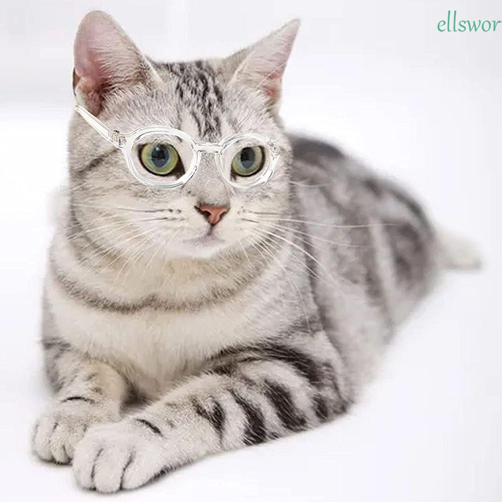 Elsweorth Kính Râm Hình Mắt Chó Sáng Tạo Đáng Yêu Cho Halloween