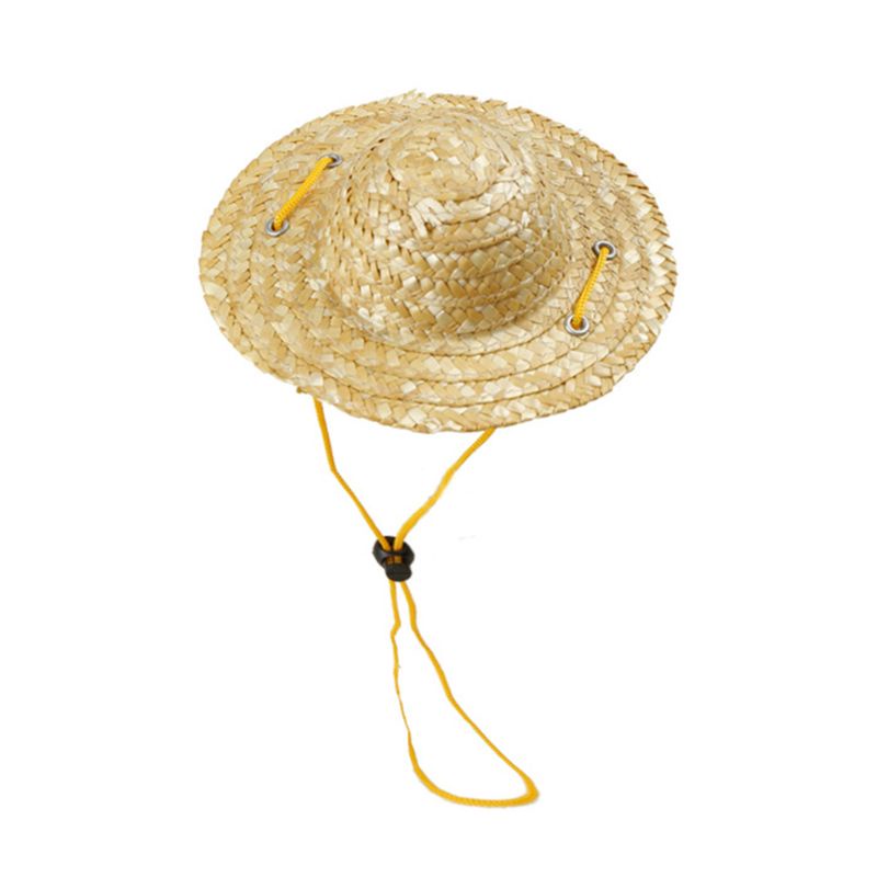 Bộ Đồ Hóa Trang May Mắn Vui Nhộn Cho Thú Cưng