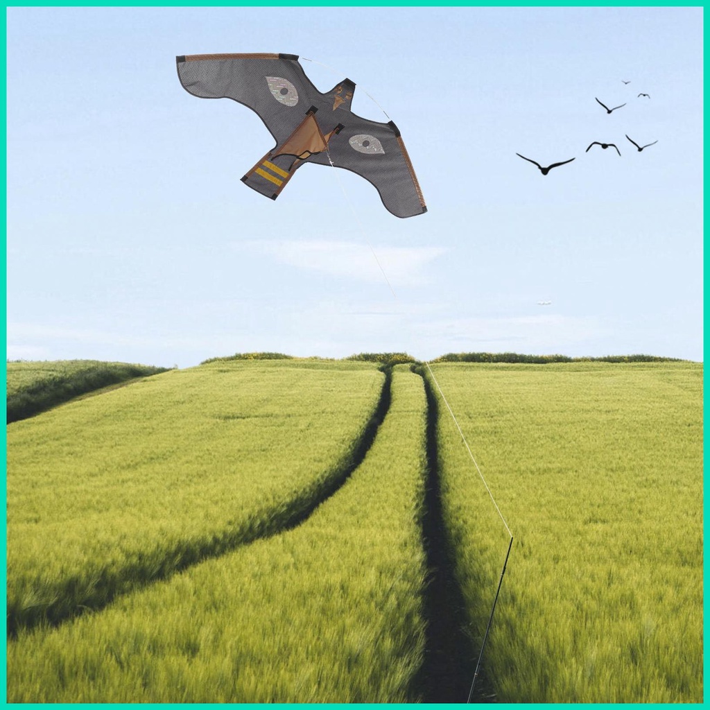 Diều Phản Quang Hình Lông Chim Độc Đáo Đẹp Mắt