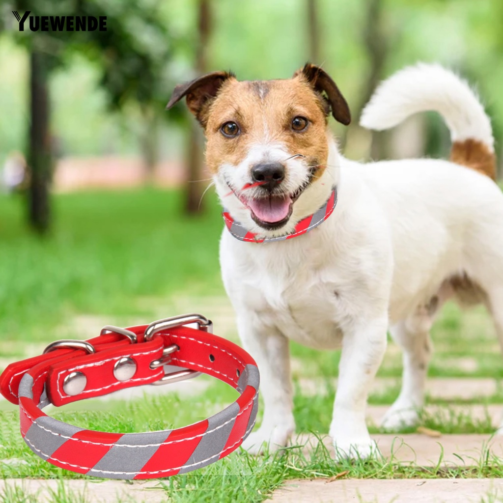 Vòng Cổ Cho Thú Cưng Tối Giản