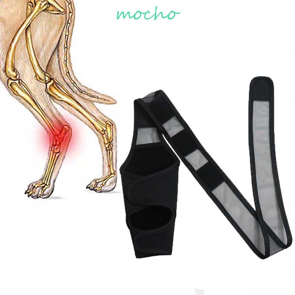 Mocho Băng Quấn Bảo Vệ Đầu Gối / Chân Trái / Phải Di Động Hỗ Trợ Chấn Thương Cho Thú Cưng