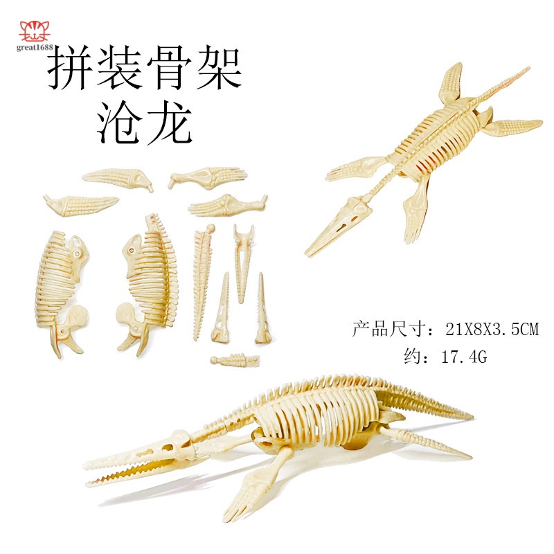 Bộ Xương Khủng Long Lắp Ráp Kích Thước 21CM