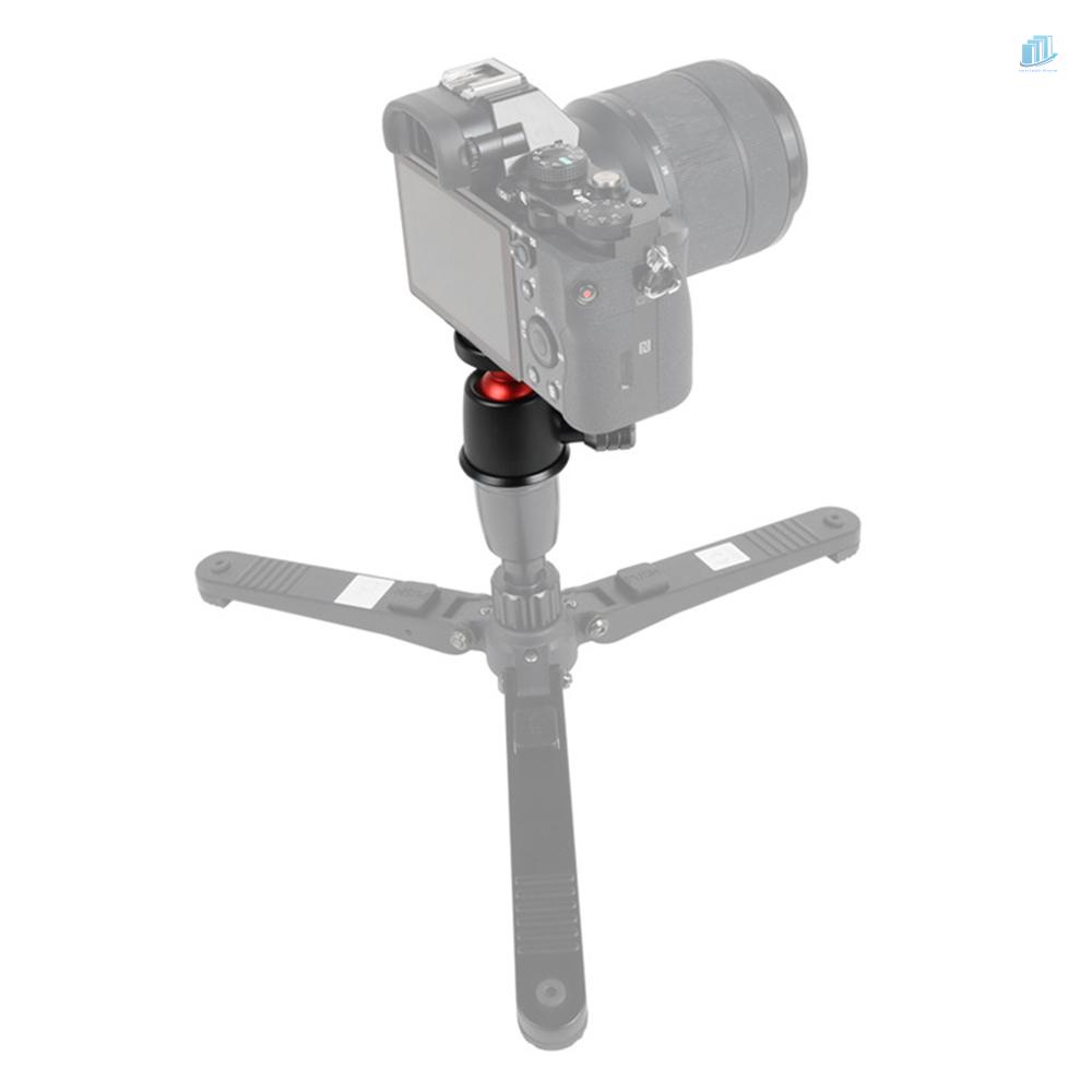 Đầu Bi Toàn Cảnh Mini Bằng Hợp Kim Nhôm Xoay 360 Độ Có Mức Bong Bóng Cho Giá Đỡ Ba Chân Máy Ảnh DSLR LIDC