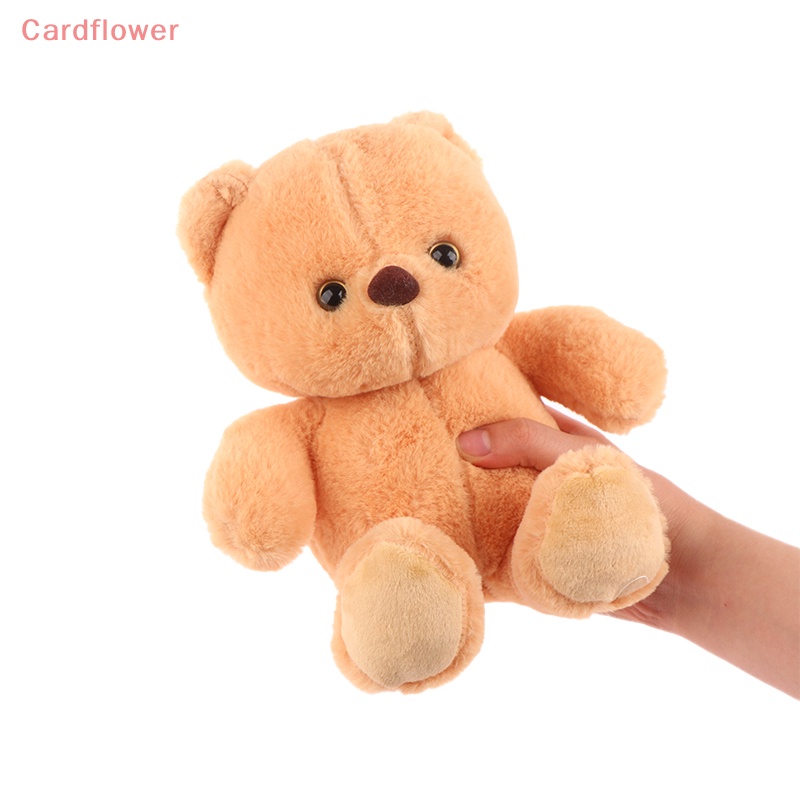 Gấu Nhồi Bông 22CM Đáng Yêu Cho Bé Mới